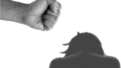 criminal defense lawyer