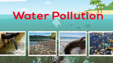 causes of water pollution