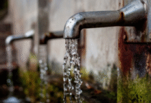 stinky tap water in South Lyon, MI