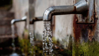 stinky tap water in South Lyon, MI