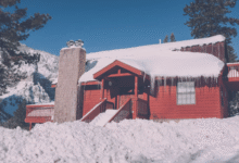 snow guard