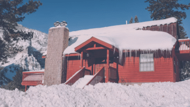 snow guard