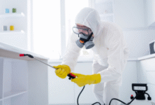 Pest Control Services