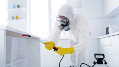 Pest Control Services