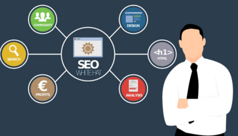 white hat link building service