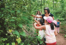 forest van vibhag vacancy