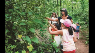 forest van vibhag vacancy